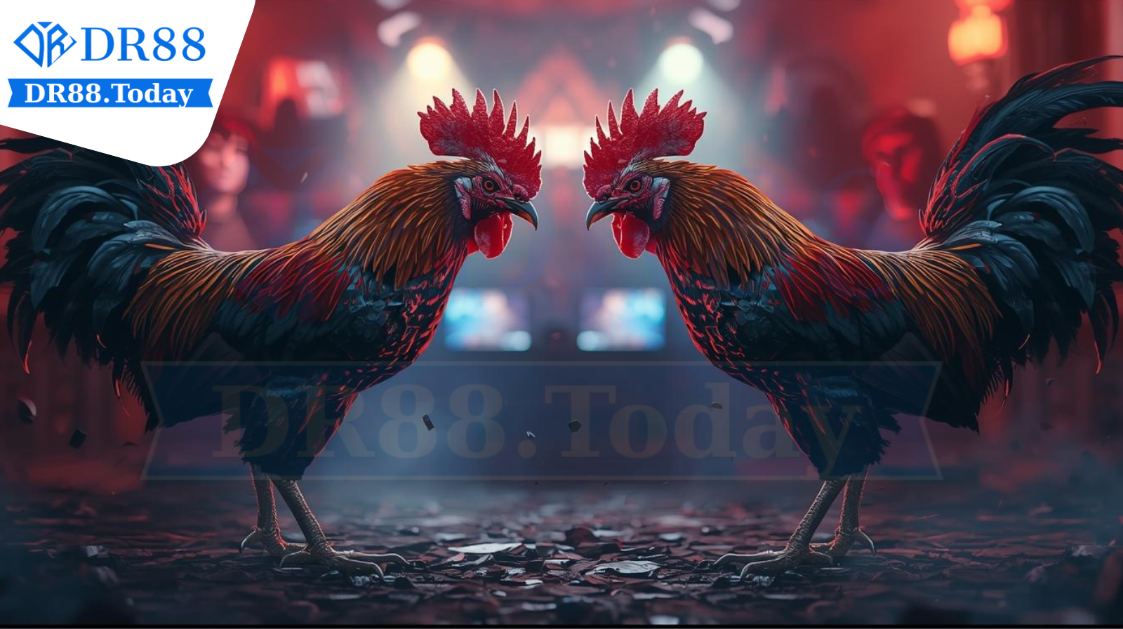 Luật chơi và mẹo xem đá gà cựa dao trực tiếp