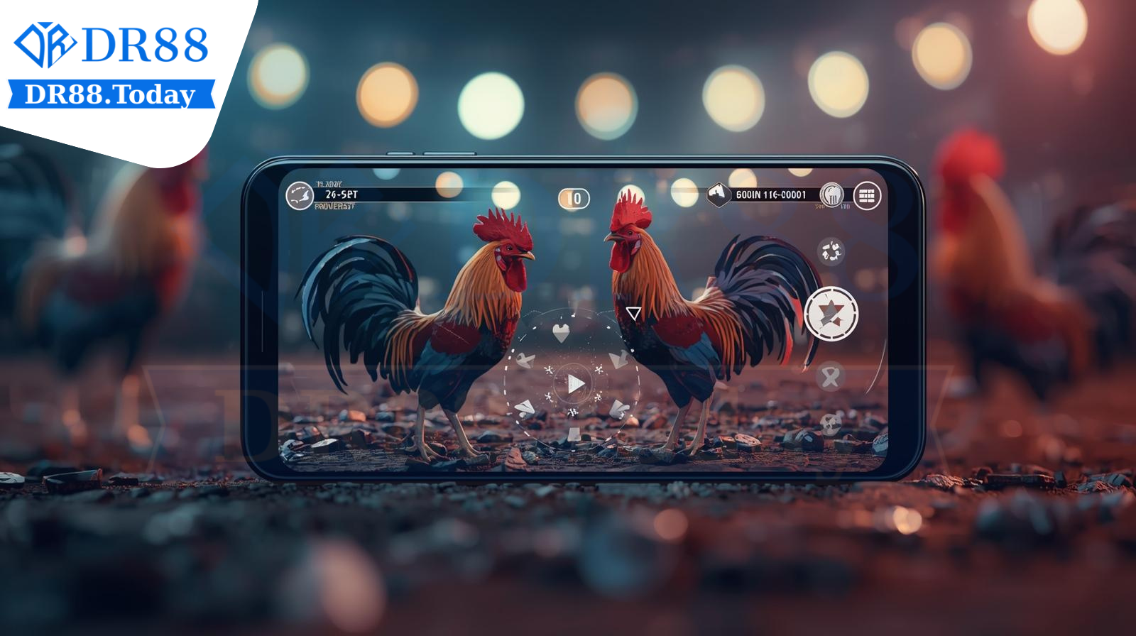 Tổng quan đá gà cựa sắt để chơi đúng cách tại DR88