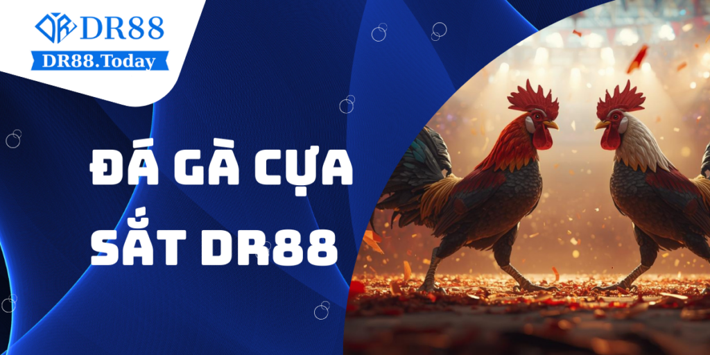 Đá gà cựa sắt DR88 – Trải nghiệm livestream máu lửa
