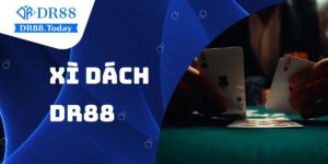 Xì Dách - Quy tắc chơi cho người mới hiệu quả tại DR88